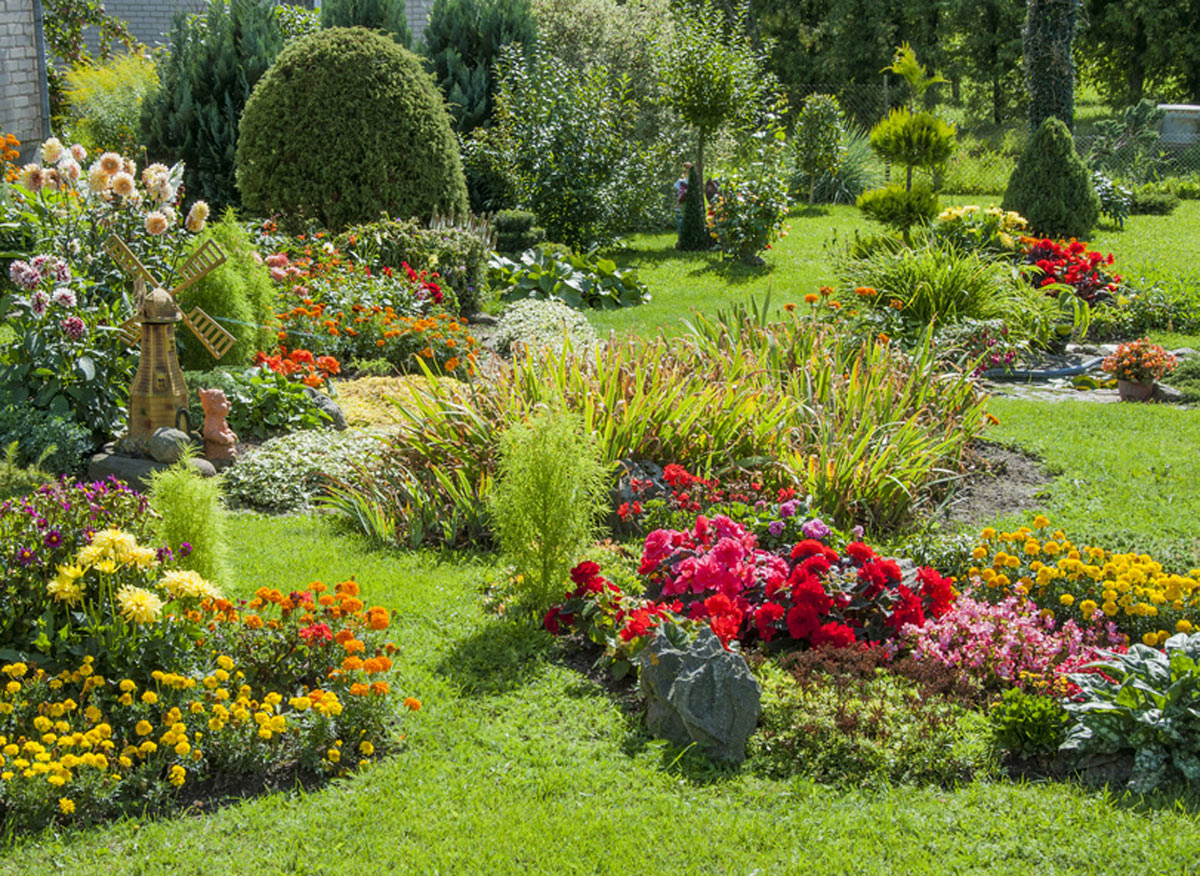 We offer a wide array of services that will suit any of your needs