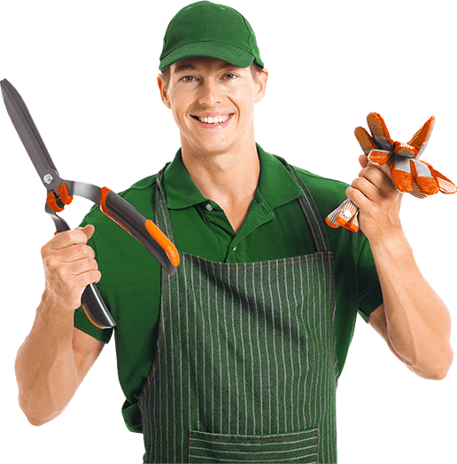 Company Solving Every Kind Of Garden Problem