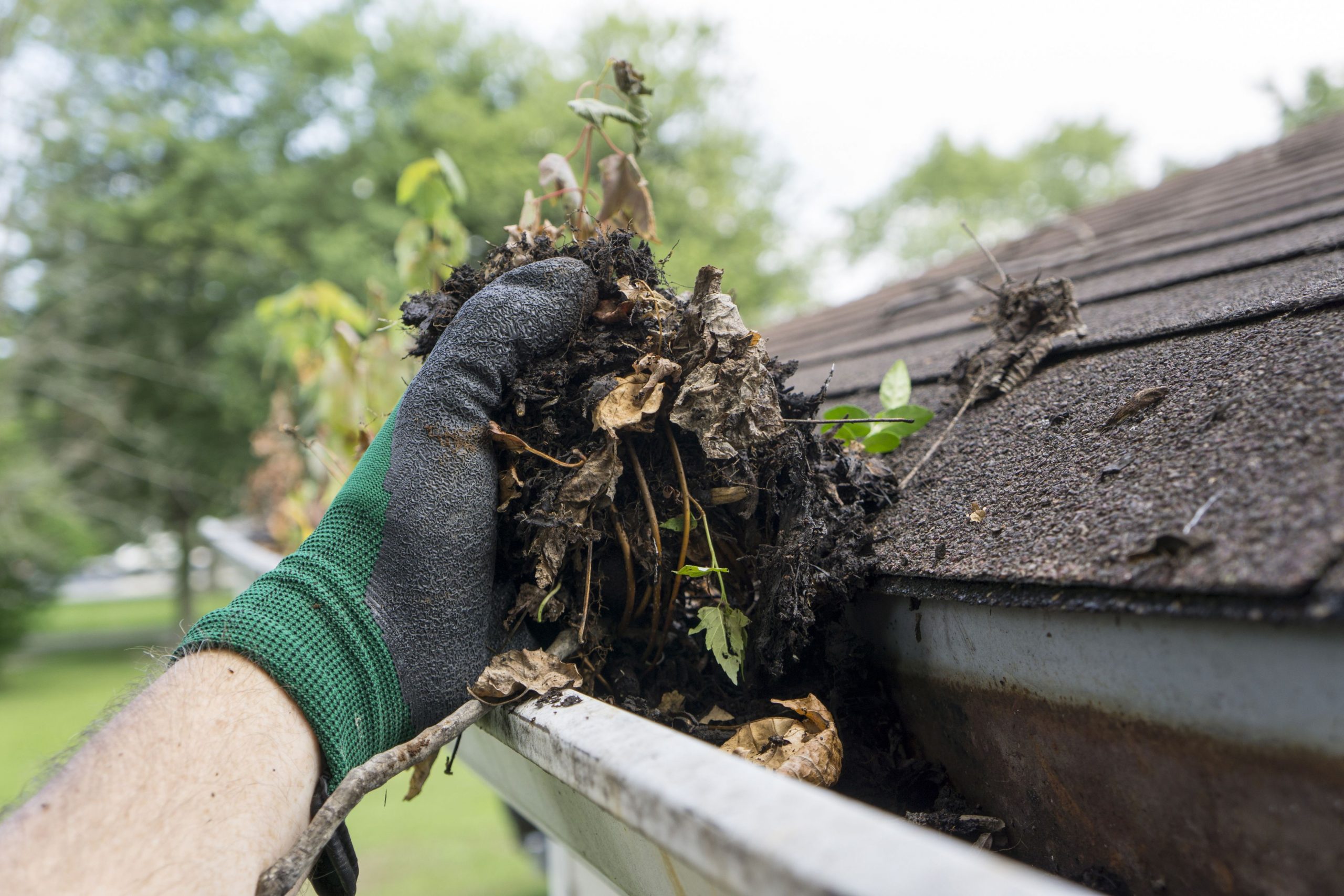 cleaning-gutters-during-the-summer